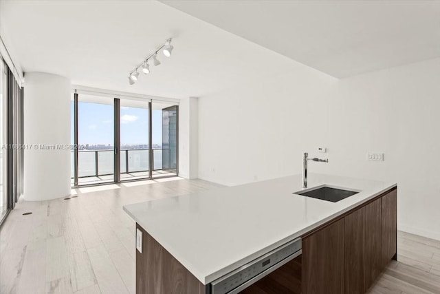 kitchen with sink, an island with sink, light hardwood / wood-style flooring, and expansive windows