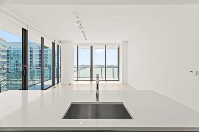 kitchen with sink, track lighting, and expansive windows