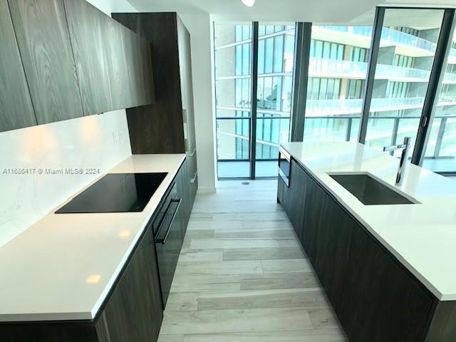 kitchen featuring sink, light hardwood / wood-style flooring, black electric cooktop, and a kitchen island with sink