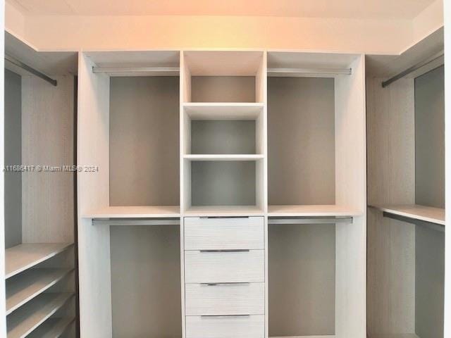 view of spacious closet