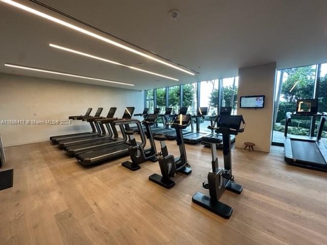 gym featuring expansive windows and light hardwood / wood-style floors