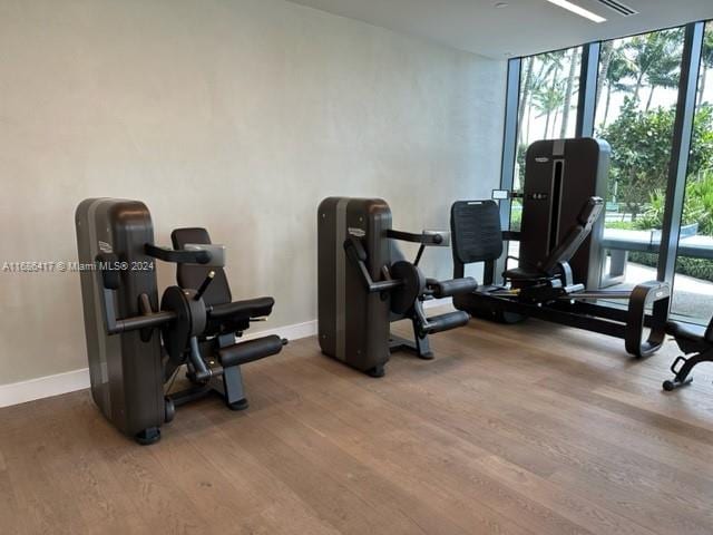 workout area featuring floor to ceiling windows and light wood-type flooring