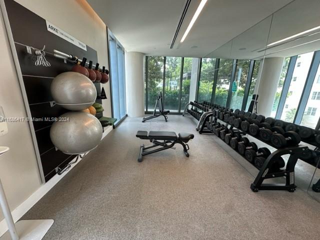 exercise room featuring expansive windows