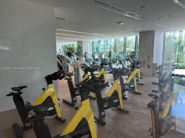 gym featuring hardwood / wood-style flooring and floor to ceiling windows