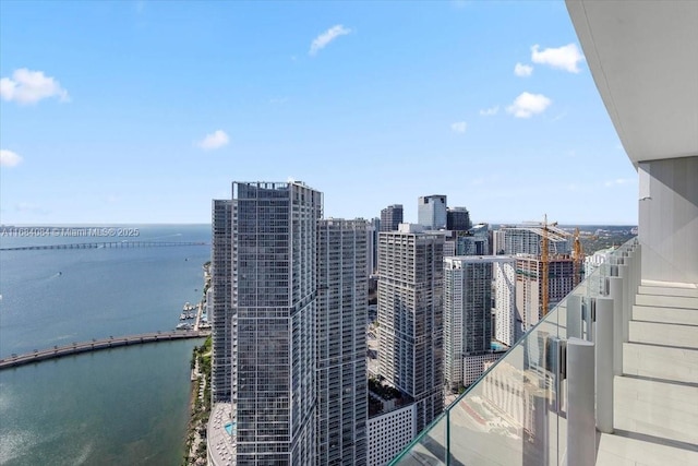 300 Biscayne Blvd Way Unit 5002Duplex, Miami, FL 33131 - city view with a water view