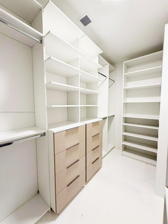 view of spacious closet