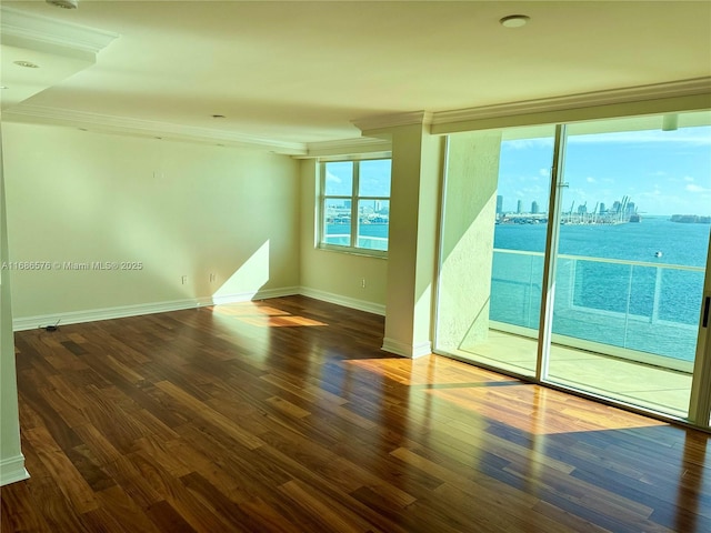 spare room with crown molding, a water view, dark wood-type flooring, and a wealth of natural light