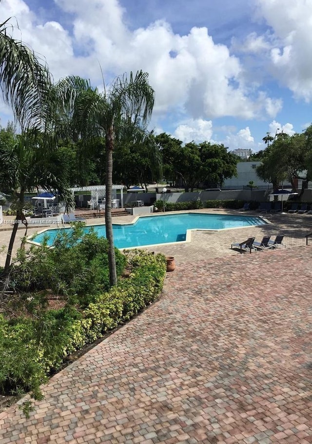 view of swimming pool with a patio area