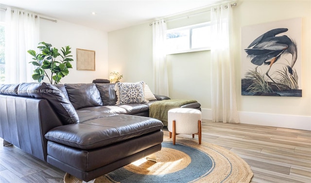 living room featuring light hardwood / wood-style floors