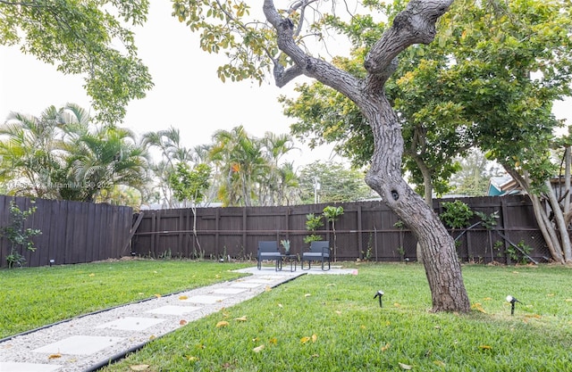 view of yard featuring a patio area