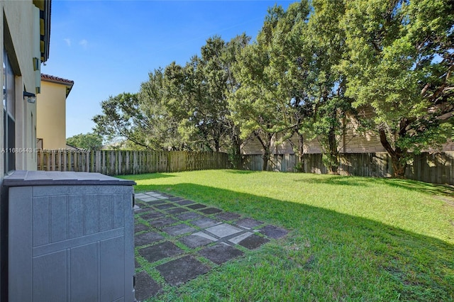 view of yard featuring a patio area