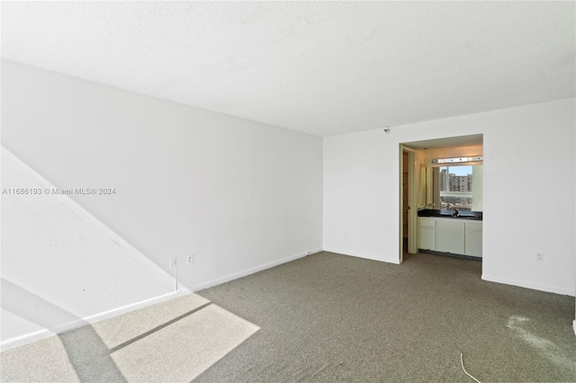 unfurnished room featuring a textured ceiling and carpet floors