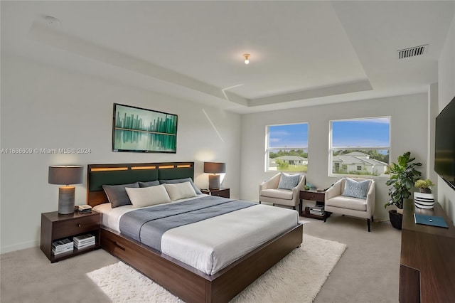 bedroom featuring light colored carpet and a raised ceiling