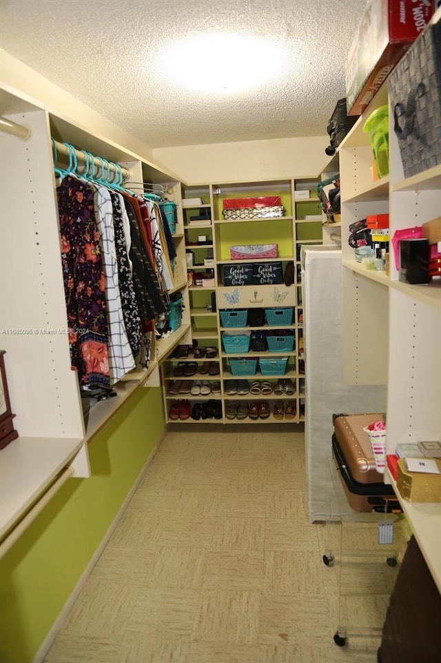 view of spacious closet