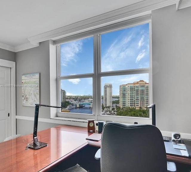 office space with crown molding