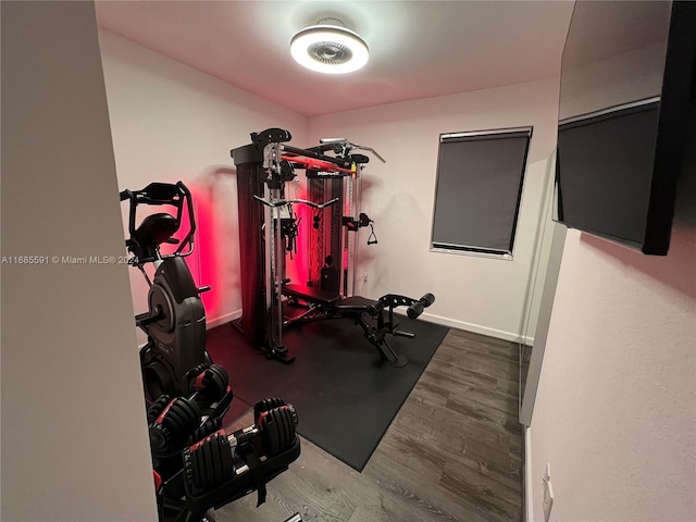 workout room with hardwood / wood-style floors