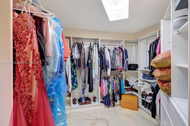 spacious closet featuring a skylight