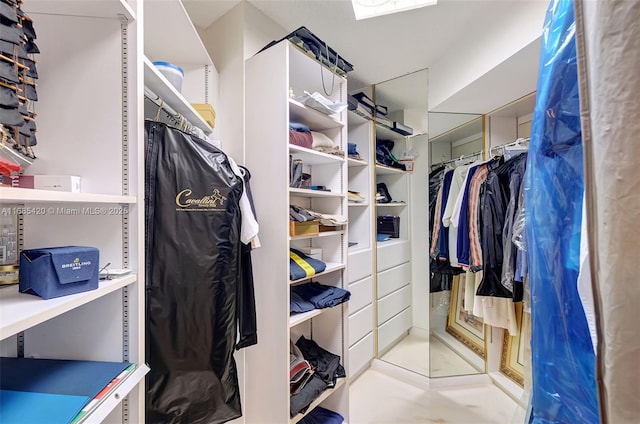 view of walk in closet