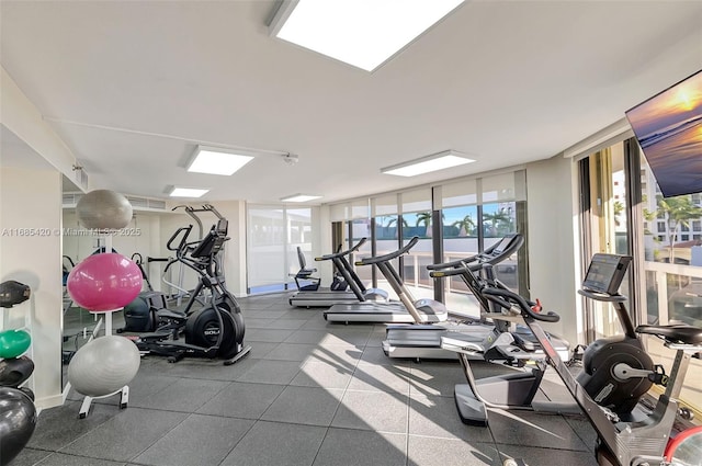 gym featuring floor to ceiling windows