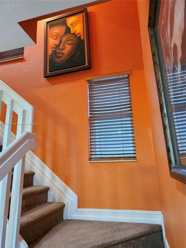 staircase with carpet floors