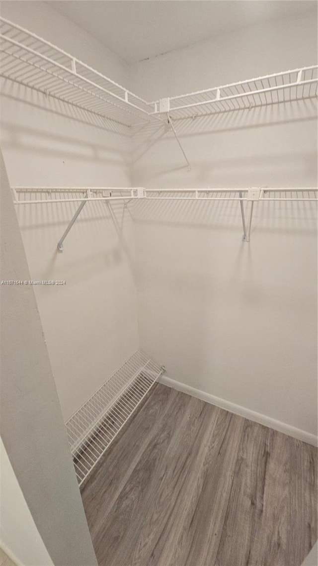 spacious closet with hardwood / wood-style floors