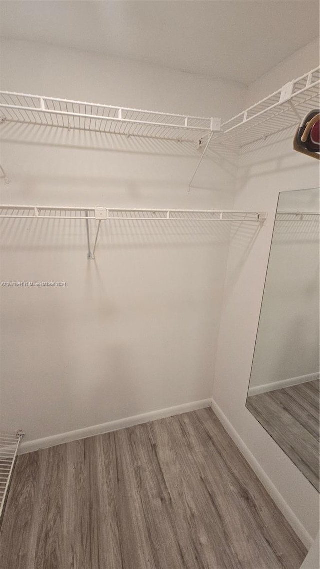 spacious closet with hardwood / wood-style flooring