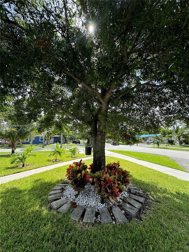 surrounding community featuring a lawn