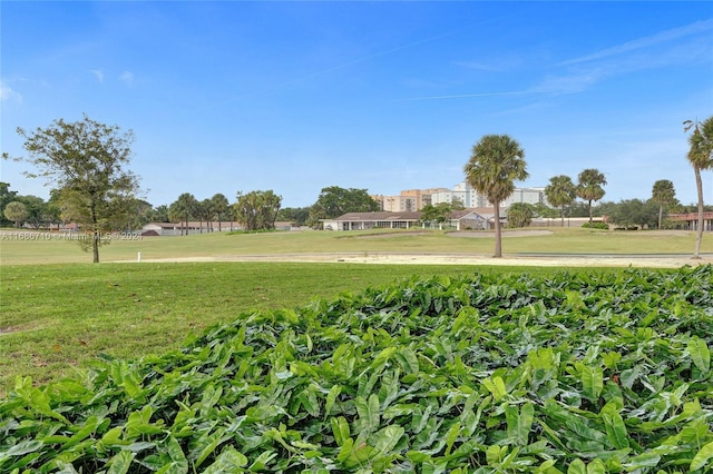 view of property's community featuring a yard