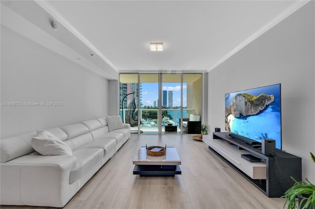 living room with expansive windows, light hardwood / wood-style flooring, and crown molding