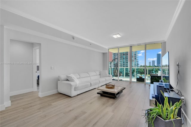 living room featuring expansive windows and light hardwood / wood-style flooring