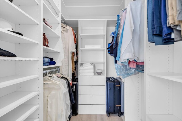 walk in closet with light wood-type flooring