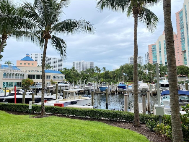 dock area with a yard and a water view