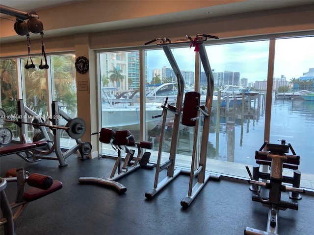 exercise room featuring plenty of natural light