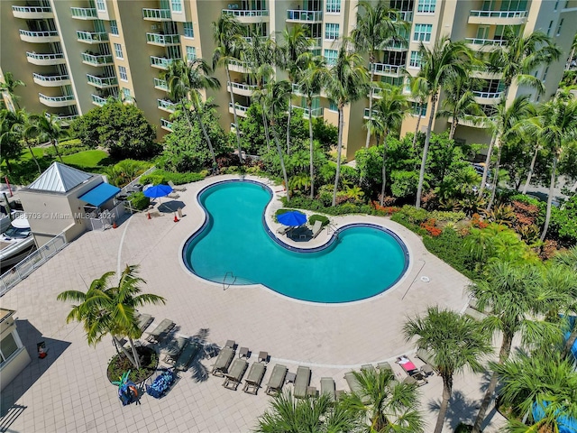 view of pool with a patio area