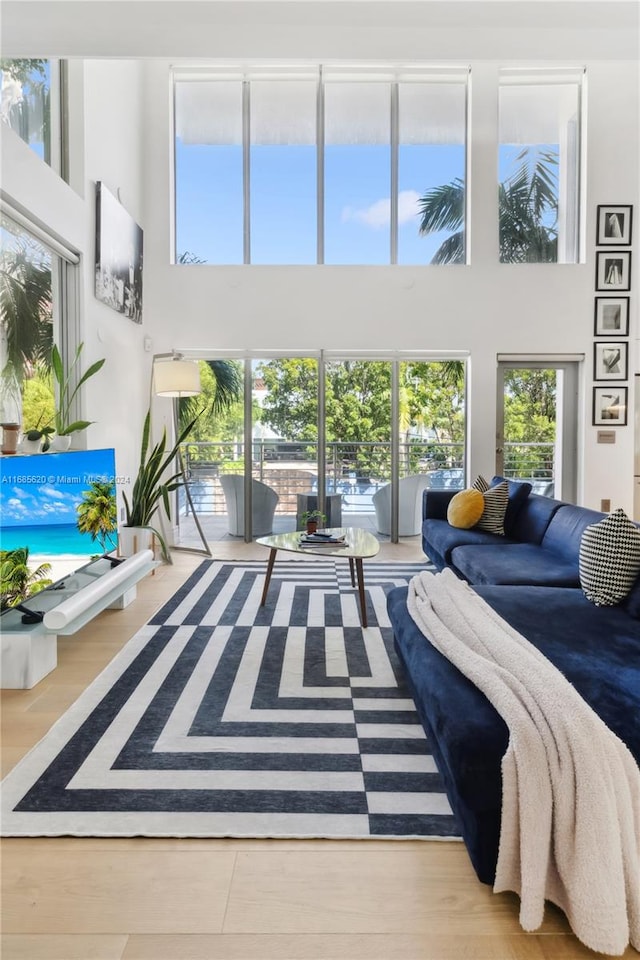 living room featuring a high ceiling