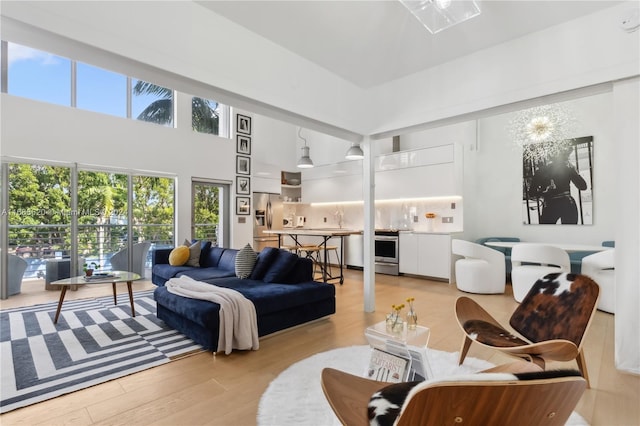 living room featuring light hardwood / wood-style floors and a high ceiling