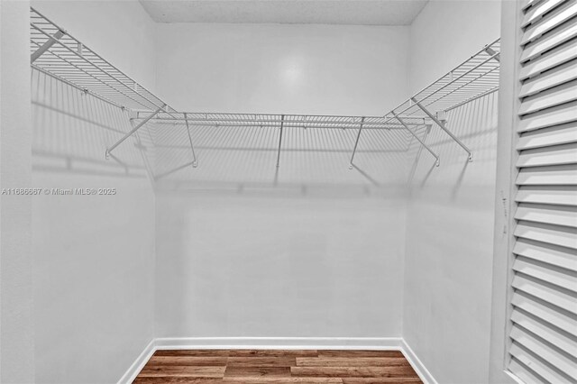 walk in closet with hardwood / wood-style flooring