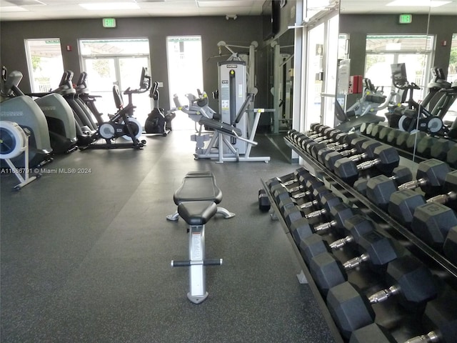 exercise room with plenty of natural light