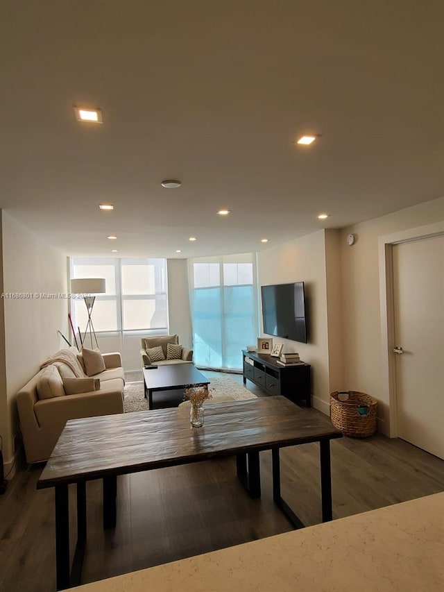 living room with dark hardwood / wood-style floors