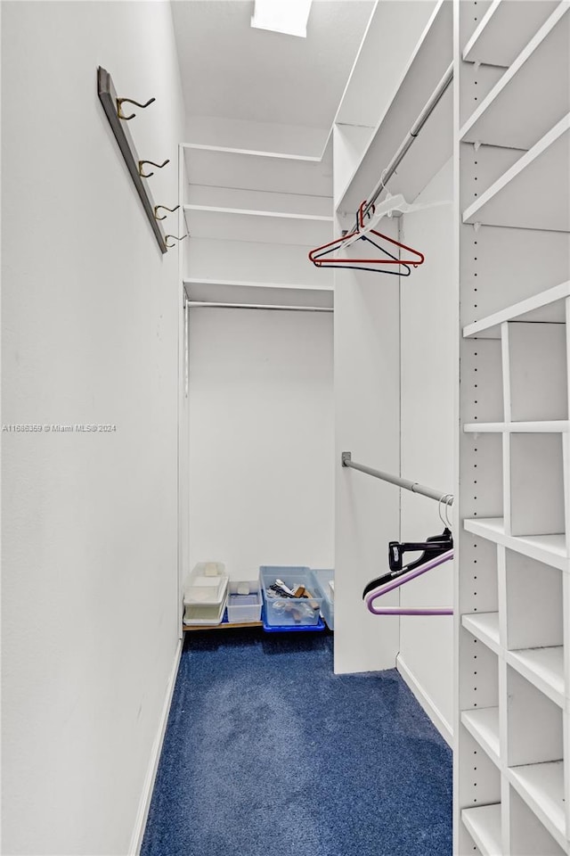 walk in closet with carpet floors