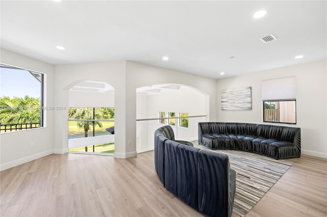 living room with a wealth of natural light and light hardwood / wood-style flooring