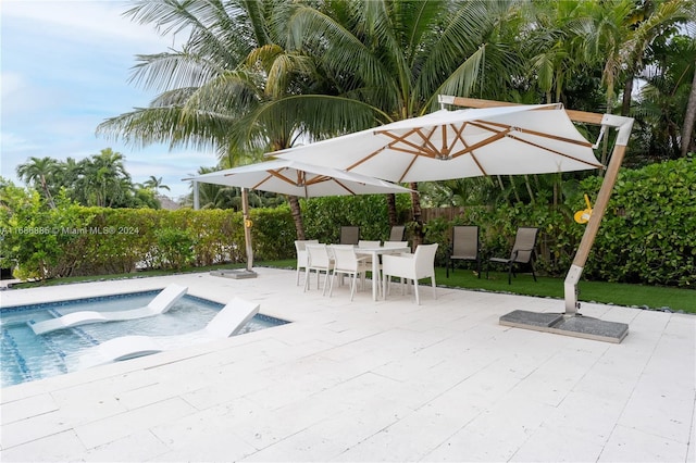 view of pool with a patio