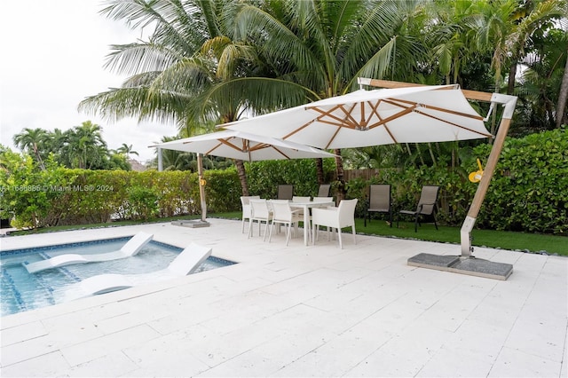 view of pool featuring a patio area