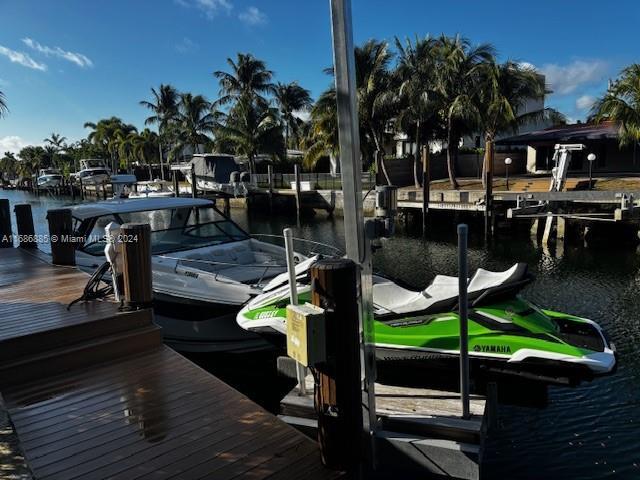 dock area with a water view