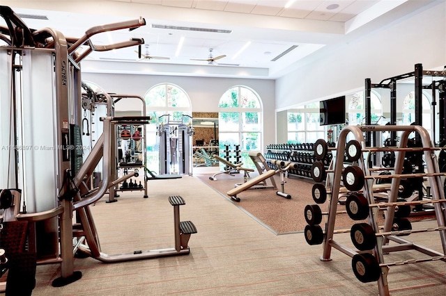 gym featuring light colored carpet and ceiling fan