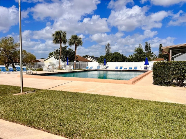 view of swimming pool with a patio area and a yard