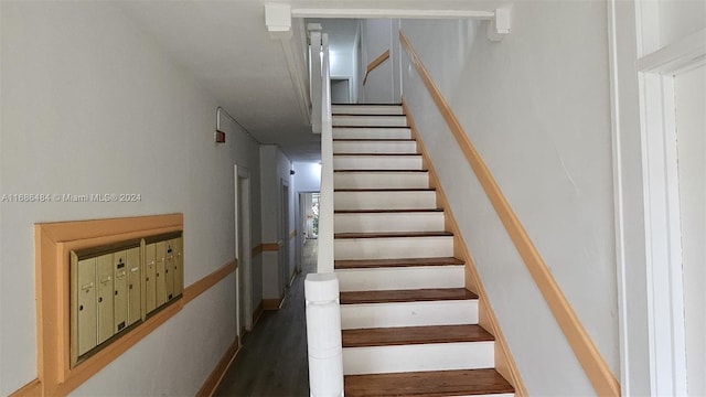 stairway featuring wood-type flooring and mail boxes