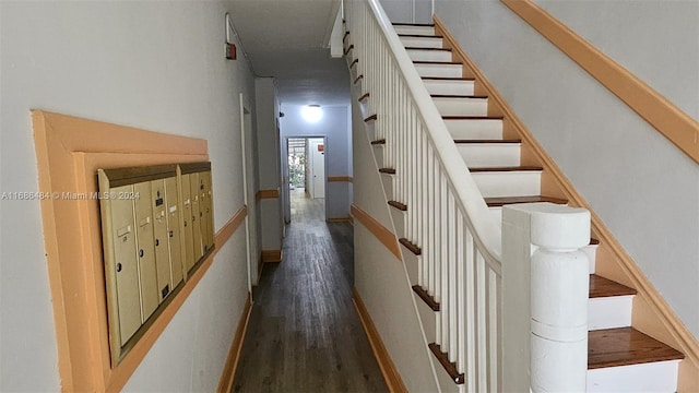 staircase featuring hardwood / wood-style flooring