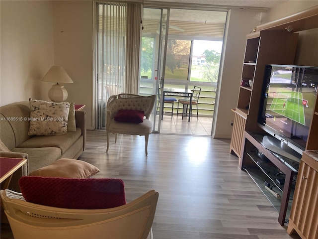 living room featuring light wood-type flooring