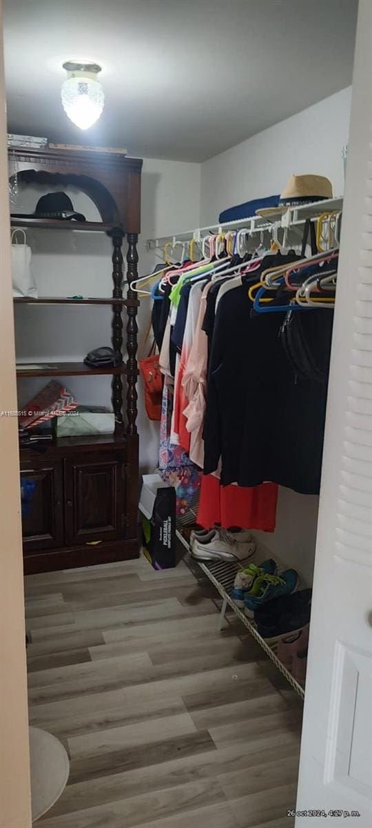 spacious closet featuring wood-type flooring